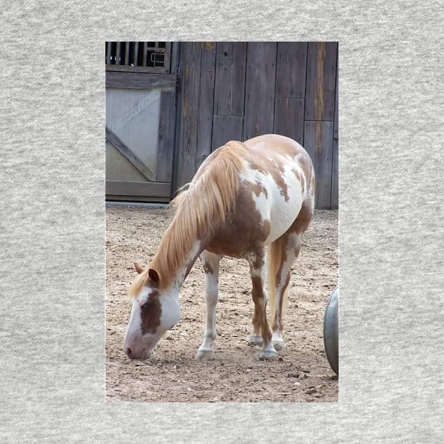 American Paint Horse by Sharonzoolady